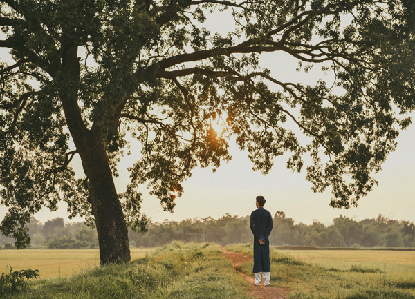 Tọa độ 5 cây cô đơn sát vách Hà Nội