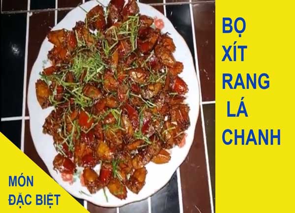 Rùng mình với món ăn đặc sản Tây Bắc – Bọ xít rang lá chanh