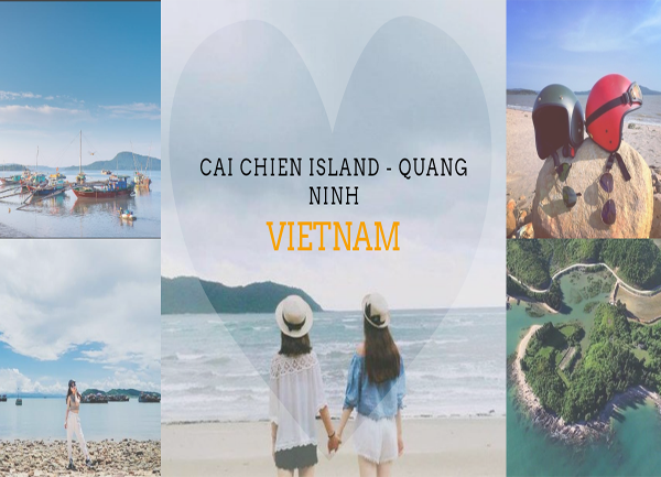 Trải nghiệm câu mực đêm trên đảo Cái Chiên