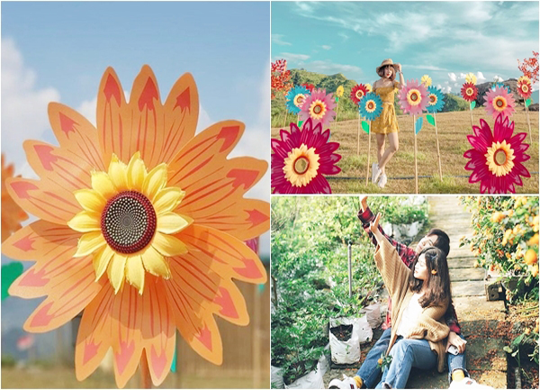 Dream Garden – Thiên đường chong chóng tại Lai Châu