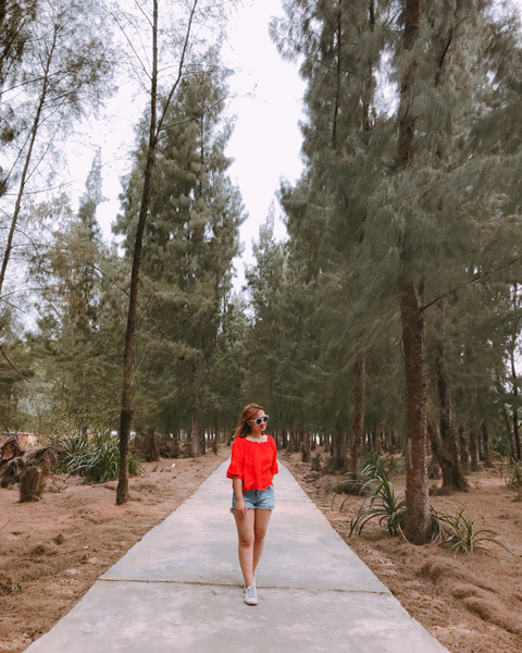 Lãng mạn với con đường tình yêu trên đảo Cái Chiên