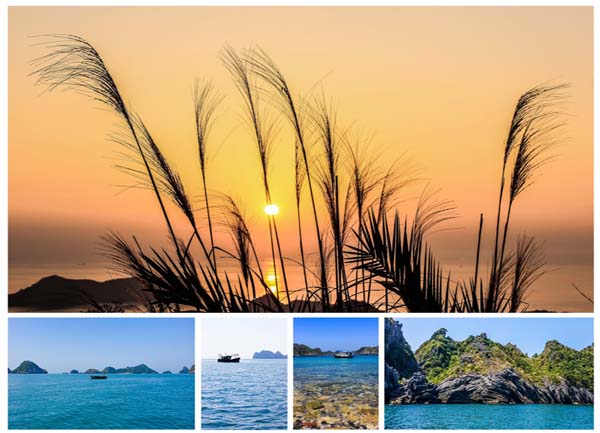 Ngọn hải đăng Long Châu - điểm đến ít người biết tại Cát Bà