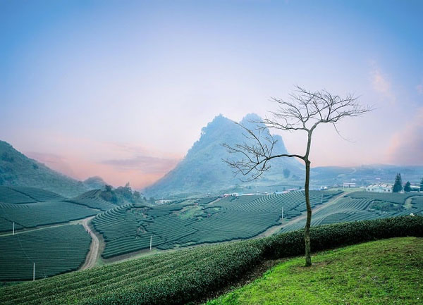 Những Món Ăn Nhất Định Phải Thử Khi Đi Mộc Châu 