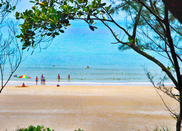 Khám phá rừng trâm hơn 300 tuổi trên đảo Quan Lạn