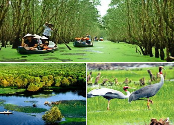 Giá vé tham quan rừng Tràm Trà Sư