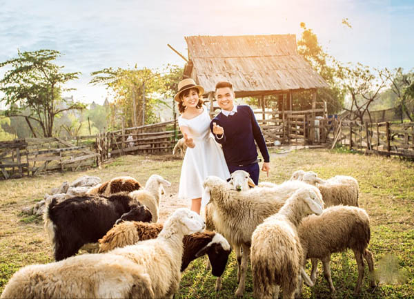 Khám phá thảo nguyên hoa -  thiên đường sống ảo cực hot ngay cạnh Hà Nội