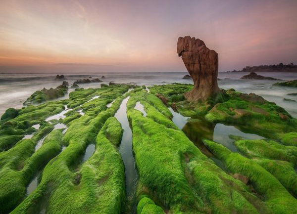 Khám phá “thiên đường rêu xanh” đẹp như mở giữa lòng Phú Yên