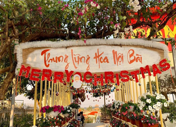 Thung lũng hoa Nội Bài 