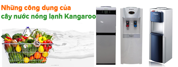 Những công dụng của cây nước nóng lạnh Kangaroo