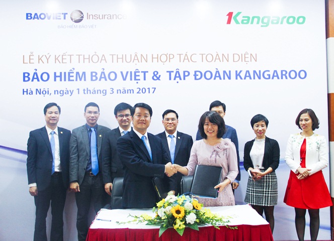 Tập đoàn Kangaroo hợp tác cùng Bảo hiểm Bảo việt