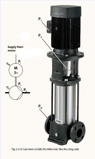 CẤU TẠO MÁY BƠM TRỤC ĐỨNG GRUNDFOS