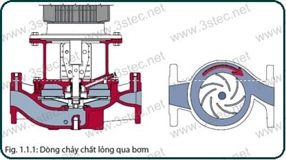 MÁY BƠM LY TÂM GRUNDFOS