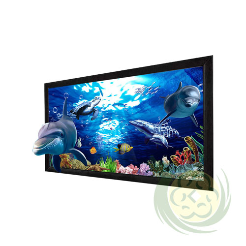 man-chieu-3d-khung-co-dinh-230-inches
