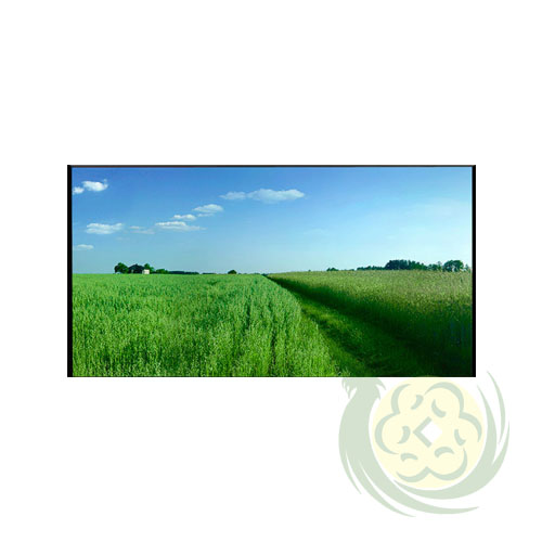 man-chieu-khung-co-dinh-200-inches