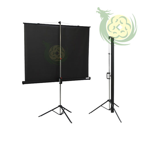 man-chieu-di-dong-85-inches-2