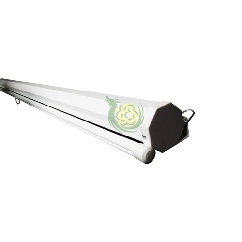 man-chieu-treo-tuong-170-inches-2