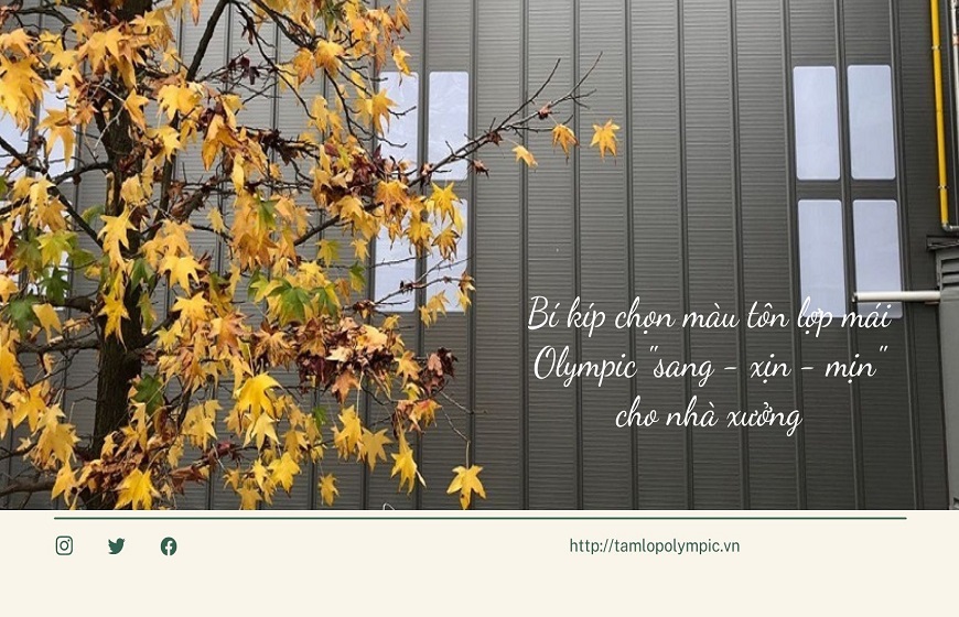 Bí kíp chọn màu tôn lợp mái Olympic 