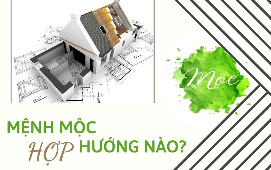 Mệnh Mộc hợp hướng nhà nào đón tài lộc, an cư dài lâu?