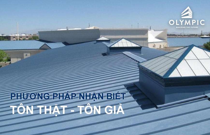 Phương pháp để nhận biết tôn thật và tôn giả từ chuyên gia bạn có biết?