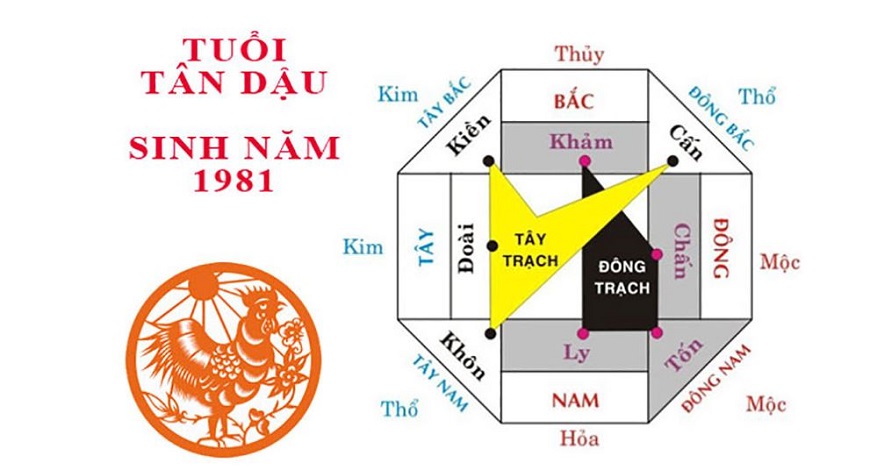 Phong thủy nhà đẹp cho tuổi 1981 Tân Dậu