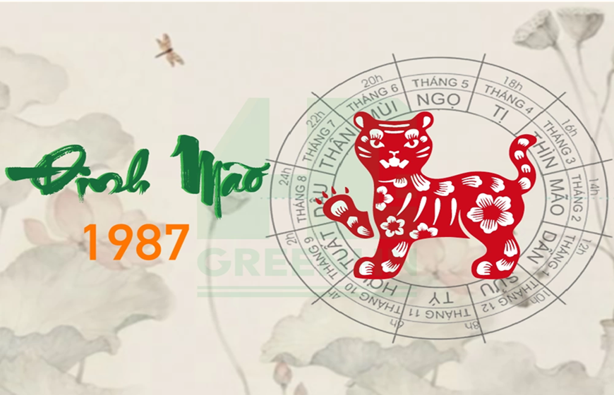 Cẩm nang phong thủy làm nhà năm 2025 cho người tuổi Đinh Mão 1987