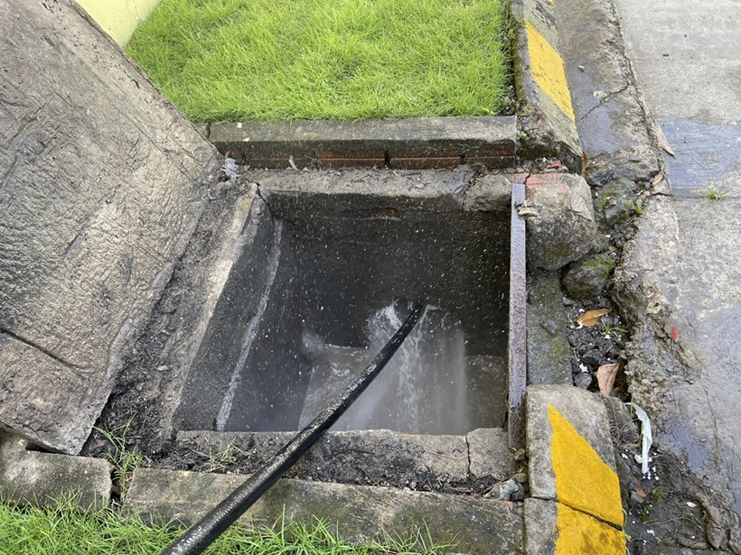 Nước mưa được dẫn chảy trực tiếp xuống cống chung
