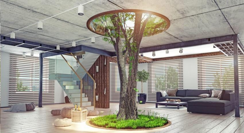 Trồng cây xanh trong nhà giúp mang lại may mắn cho gia chủ mệnh Mộc