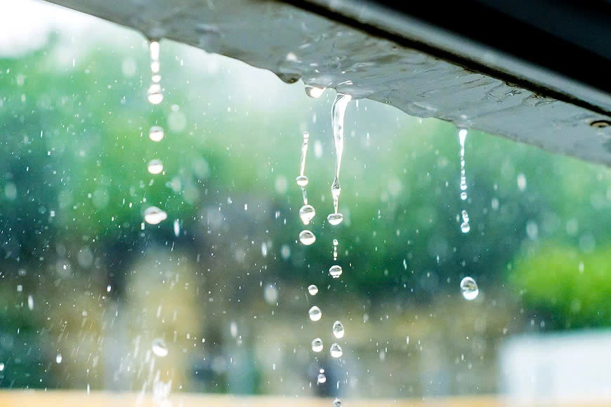 Thường xuyên kiểm tra mái tôn để tránh tình trạng dột mái