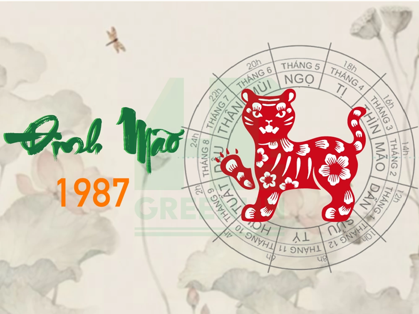 Tổng quan lá số tử vi năm 2025 tuổi Đinh Mão 1987