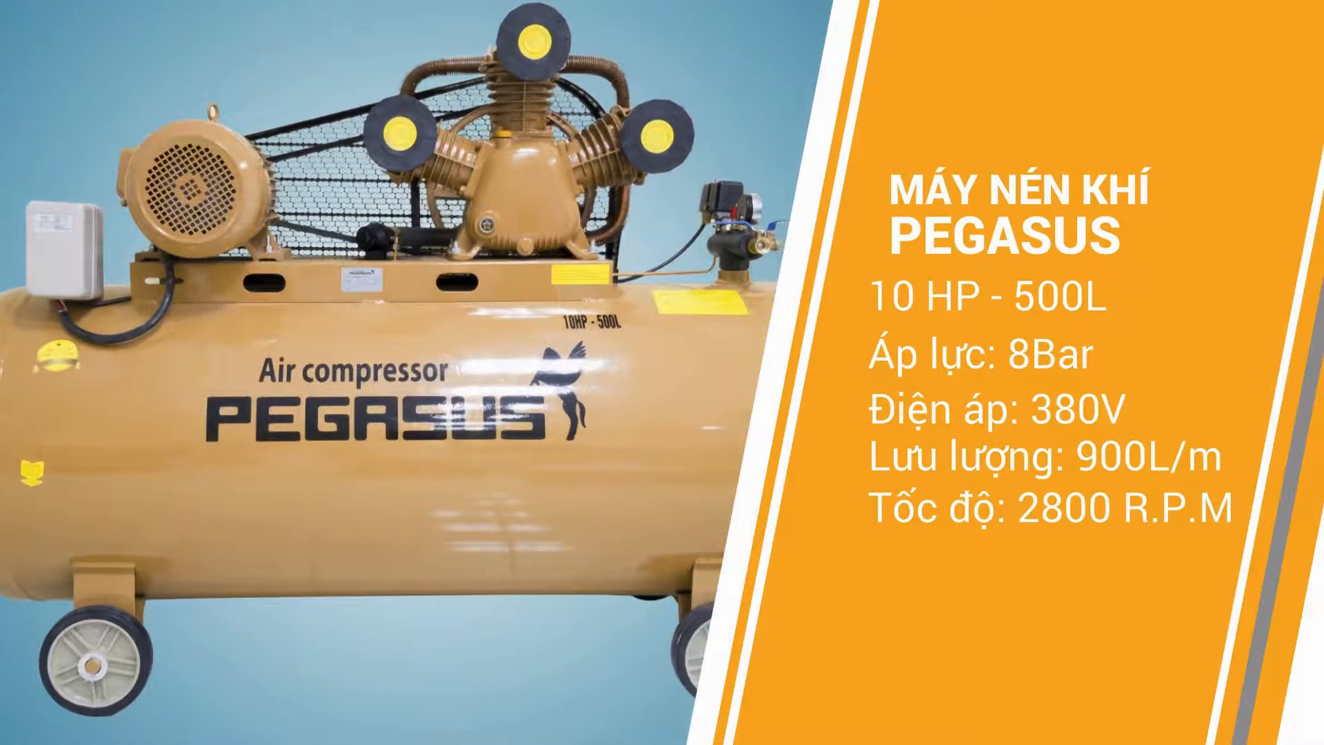 Máy nén khí đây đai Pegasus 500l 10hp TM-W-0.9/8