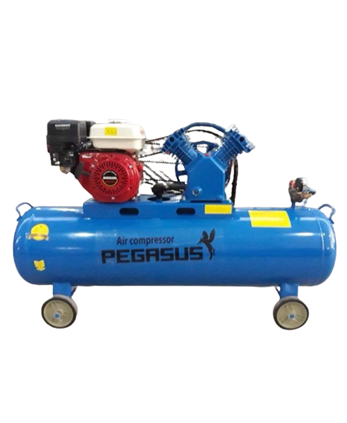 MÁY  NÉN KHÍ ĐẦU NỔ CHẠY BẰNG XĂNG TM-V-0.25/8-120L