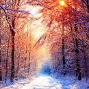 Amazing Landscape Photographies of Sven Müller