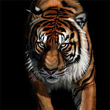 20 Beautiful and Realistic Animal Paintings by Heather Lara