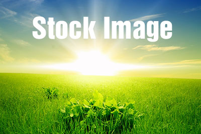 Download - Stock images
