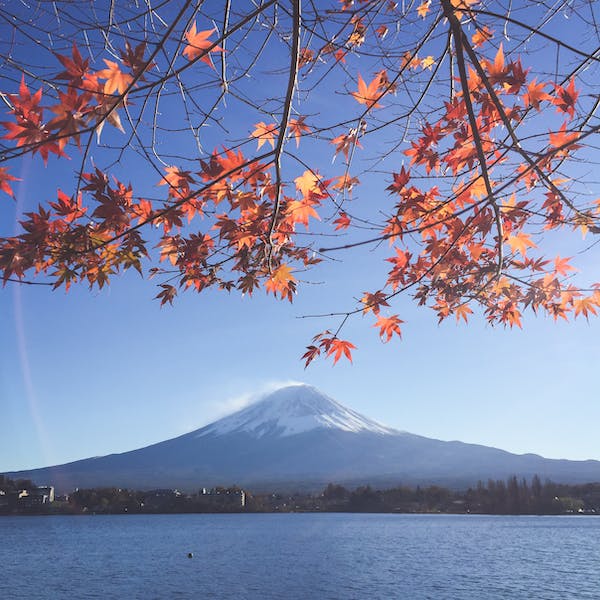 ĐÔI NÉT VỀ TỈNH SHIZUOKA