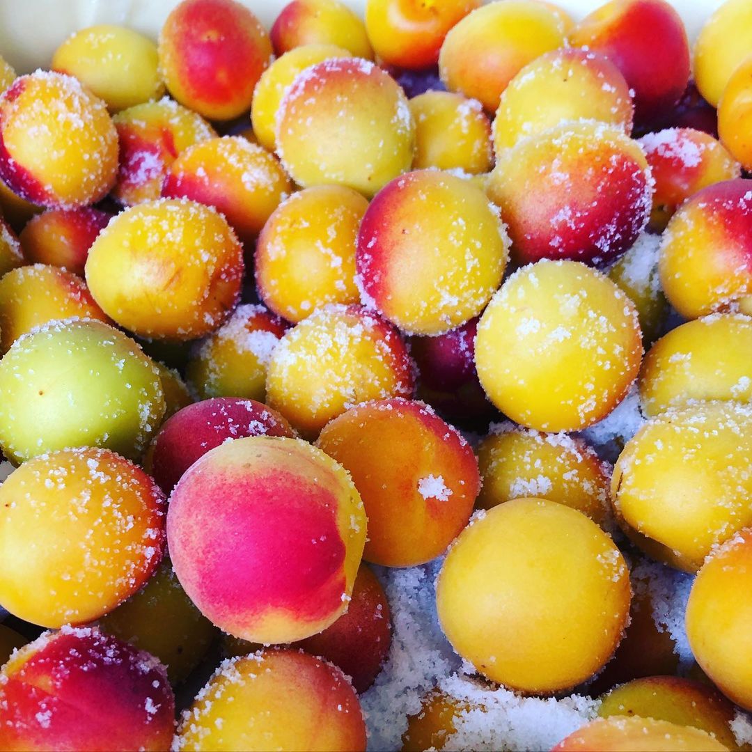 TUYỂN 3 NỮ  - CHẾ BIẾN THỰC PHẨM - Ô MAI MƠ MUỐI