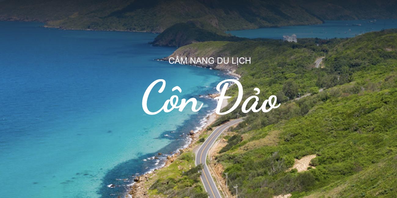 Khám Phá Hệ Sinh Thái Đa Dạng Tại Vườn Quốc Gia Côn Đảo: Thiên Đường Sinh Thái Giữa Biển Đông