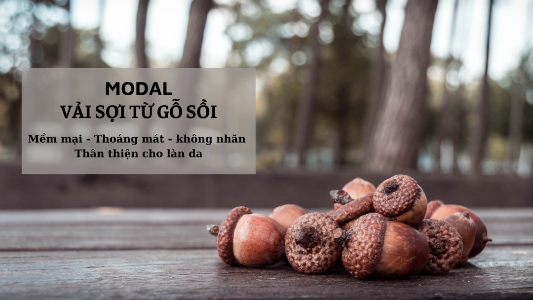 SỢI MODAL LÀ GÌ? NHỮNG ĐẶC TÍNH VÀ ỨNG DỤNG CỦA SỢI MODAL