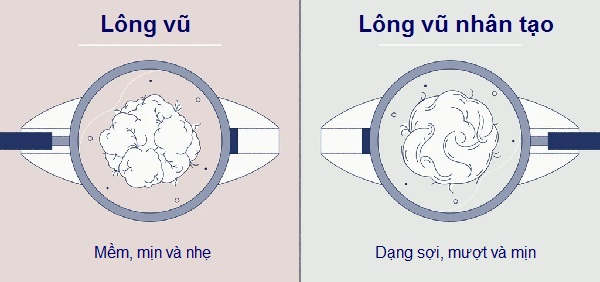 Phân Biệt Lông Vũ Thật Và Giả