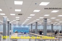 Hoàn thành dự án tư vấn, cung cấp lắp đặt thiết bị điện và chiếu sáng cho Gilimex