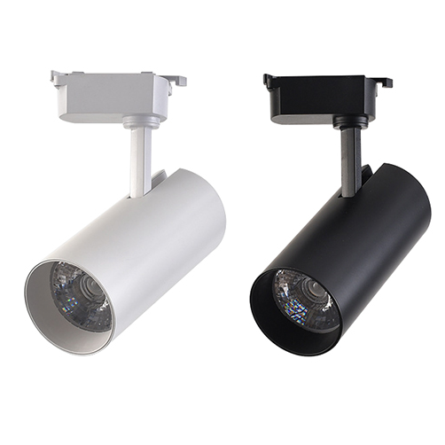ĐÈN RỌI RAY GS
