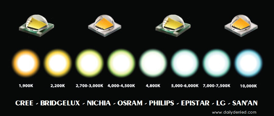 chip đèn led