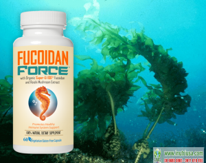 Fucoidan - sức mạnh thần kỳ chống lại viêm nhiễm