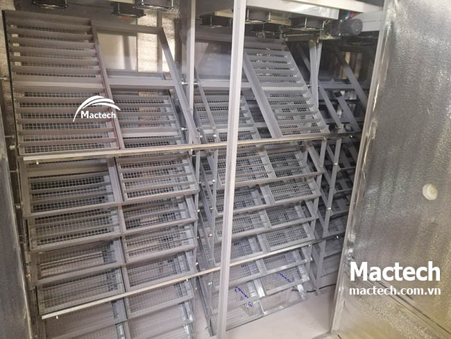 Dùng máy ấp 5000 trứng gà bao lâu thì hoàn vốn