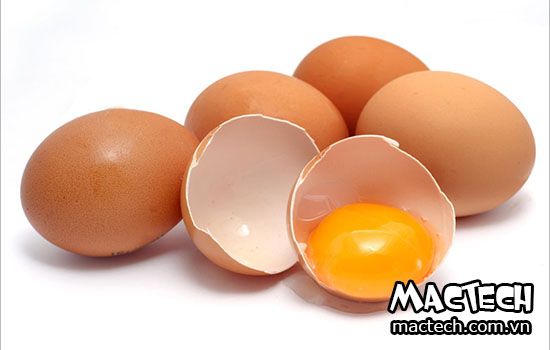 ấp trứng không cần vỏ
