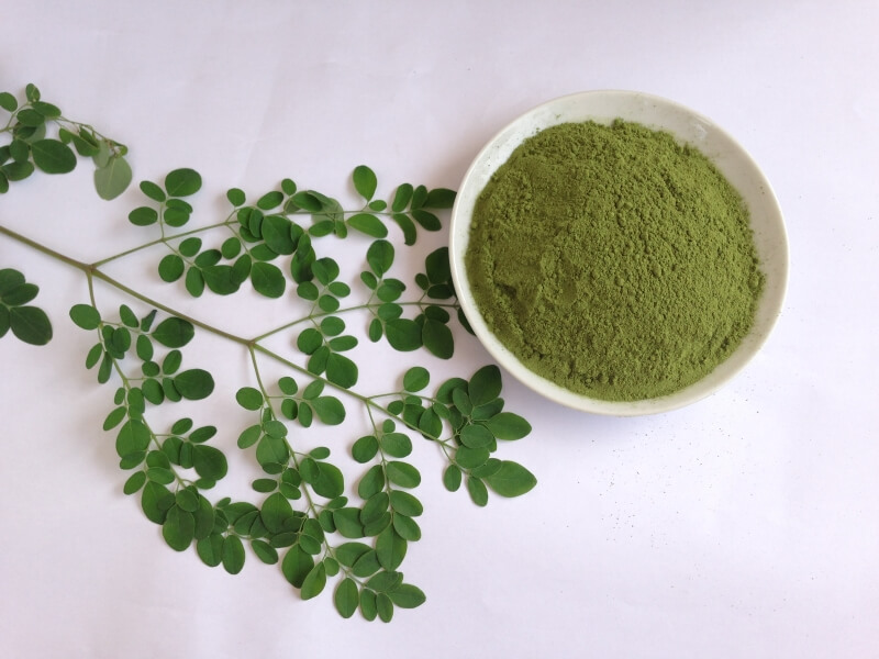 bột chùm ngây