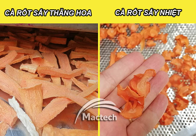 Cà rốt sấy thăng hoa có gì khác so với cà rốt sấy nhiệt sấy lạnh