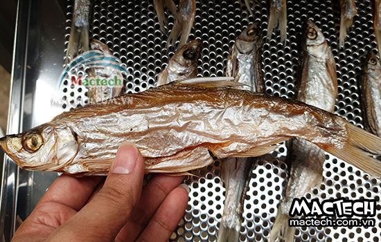 Máy sấy thăng hoa cá, sấy giữ mùi vị tươi ngon của cá