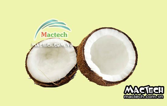 Cách sấy dừa khô bằng máy sấy đơn giản, nhanh, hiệu quả