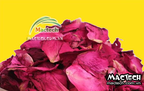 Máy sấy cánh hoa hồng Mactech, sấy khô nhanh giữ màu đẹp